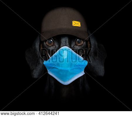 Dachshund Sausage Dog Delivering A Big Brown Package As A Postman With Cap ,in Covid-19, Cornavirus 