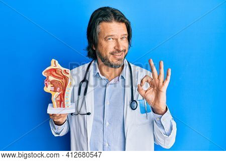 Middle age handsome otologist doctor man holding medical model doing ok sign with fingers, smiling friendly gesturing excellent symbol 