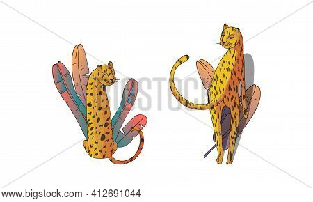 Spotted Leopard With Yellowish Skin And Long Body Sitting In Tropical Leaves Vector Set