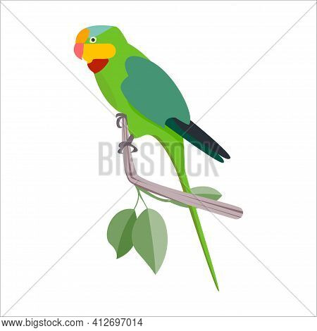 Green Bernard Parrot With A Long Tail Sits On A Branch With Leaves. Vector Cartoon Flat Illustration