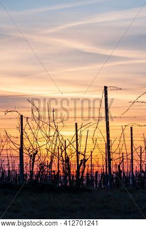Sunset of Palava hill, South Moravia, Czech republic