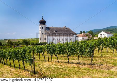 Monastery winery Thallern near Gumpoldskirchen, Lower Austria, Austria