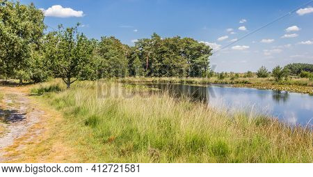 Panorama Of A Small Pool In National Park Dwingelderveld, Nethelands