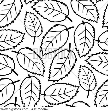 Elm Leaf Seamless Vector Pattern Background. Hand Drawn Black Line Art Single Leaves On White Backdr