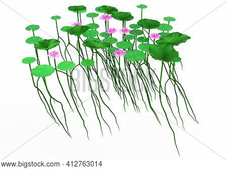 3D Rendering Lous Flowers On White
