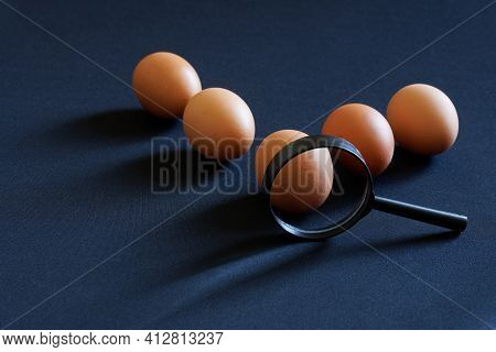 Magnifying Glass And Five Brown Chicken Eggs On A Dark Background. Concept Of Egg Sorting, Laborator