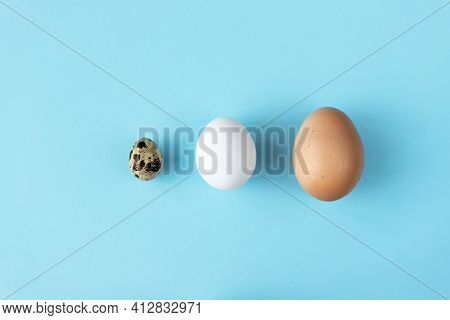 Three Type Of Different Birds Eggs Isolated On Blue Paper Background. Various Size And Kind Choice C