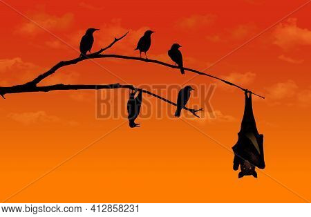 A Bird Imitates A Bat And Hangs From A Branch Upside Down In This Illustration About Imitation.