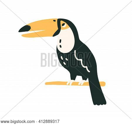 Black-feathered Toucan With Large Yellow Beak. Tropical Southern American Tucan Bird Sitting On Tree