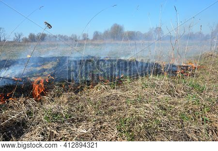 Dry Grass On Fire In Spring. Burning Dry Grass In Spring Is Quickly Getting Out Of Control.