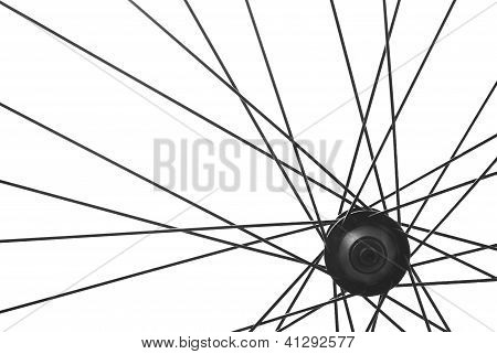 Bicycle Spoke Detail