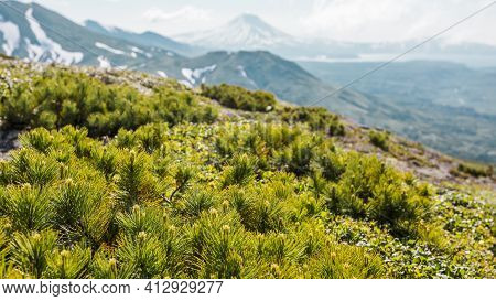View Of The Ilyinsky Volcano Early In The Morning, Kamchatka Peninsula, Russia