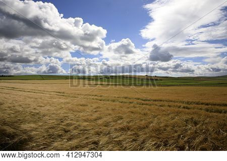 Yesnaby - Orkney (scotland), Uk - August 07, 2018: The Landscape Near Yesnaby Cliffs Area, Stromness