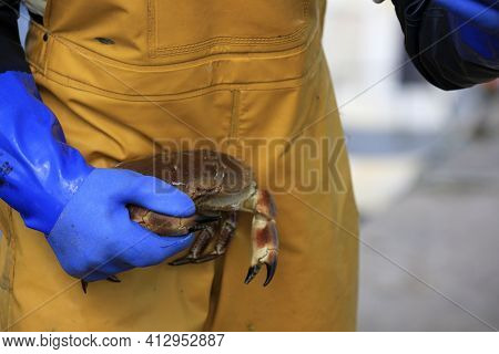 Broch Of Gurness - Orkney (scotland), Uk - August 10, 2018: A Fisherman With A Crab, Orkney, Scotlan