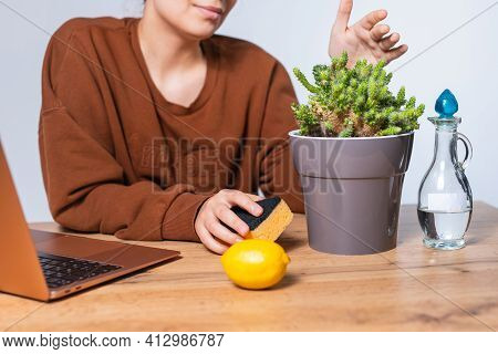 Natural Remedies For Home And Office. Cropped Photo Of A Woman Dusting Her Desk. Vinegar, Lemon And 