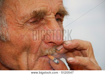 L'ultimo Sniff