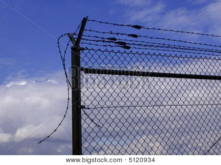Freedom Begins Here