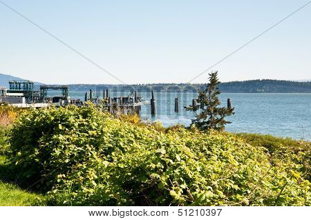 Anacortes