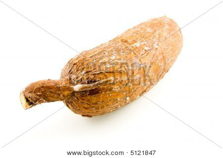 Yuca Root