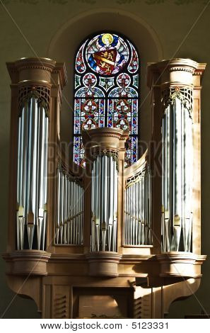 Small Organ