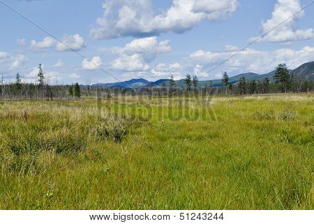 Swampy Plain Under The Blue Sky.