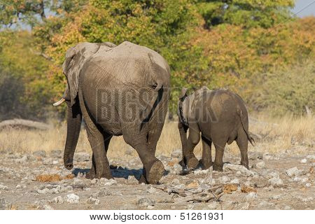 walking family