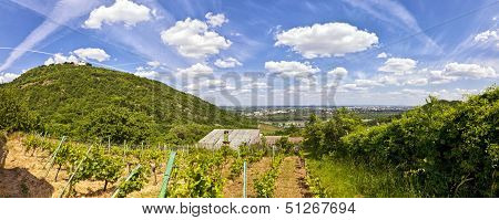 View Of The Danube Of Vienna From Kahlenbergerdorf