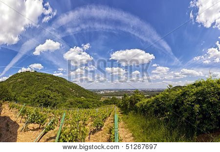 View Of The Danube Of Vienna And The Saint Leopold's Church On Leopoldsberg.