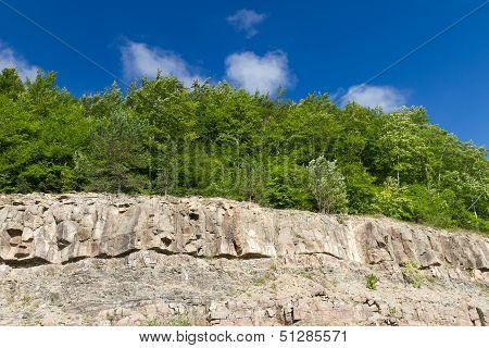 Forest And Rocks