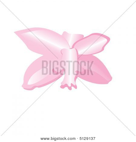 Blomst
