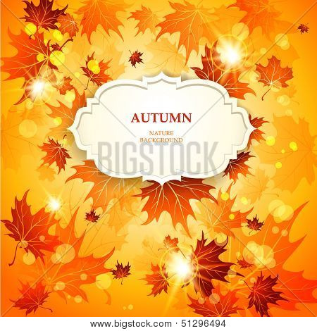 Bright autumn background with maple leaves