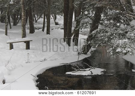 Frozen bench by the river