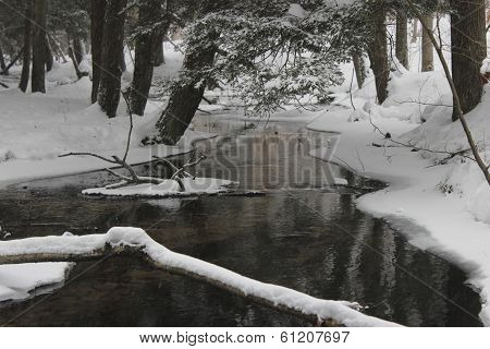 Frozen River