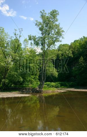 Creekbed