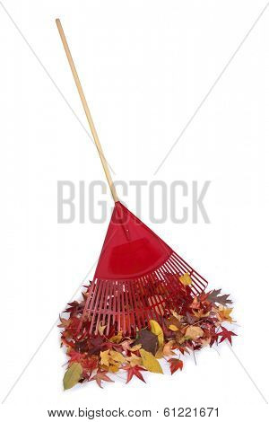 Raking up a pile of leaves