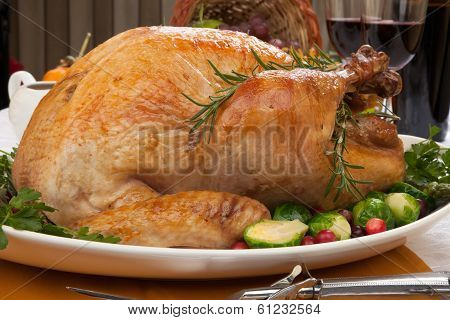 Fall Festival Roast Turkey