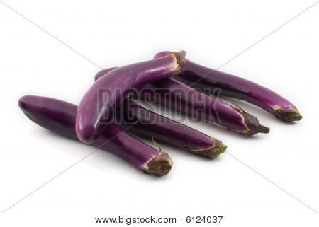 Melanzane / melanzane Isolated On White Background