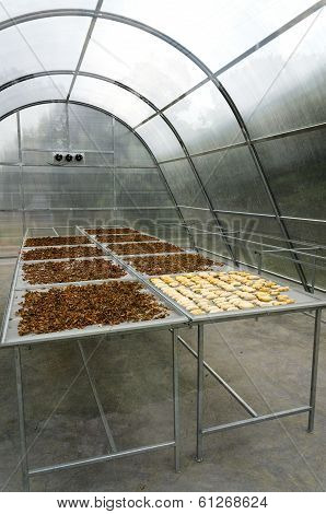 Solar Greenhouse Heating For Agricultural Products