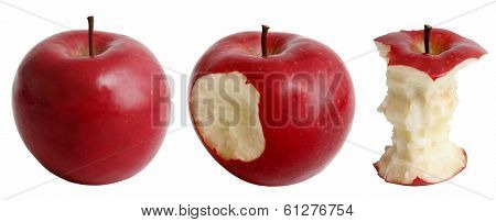 apples at various stages of being eaten