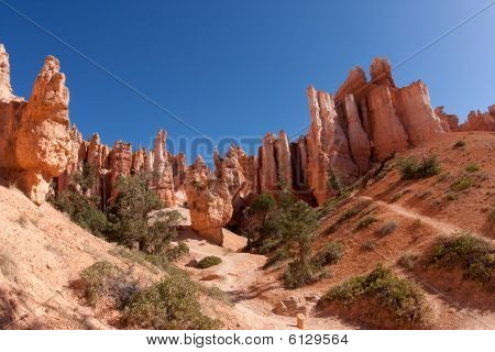 Fairyland Rundwanderung im Bryce canyon