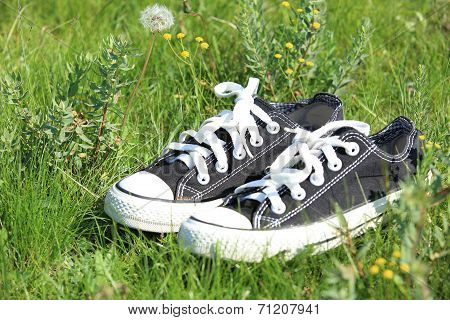 Pair of shoes on green grass