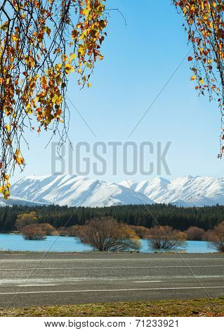 The road  along the Lake Tekapo in autumn , Canterbury, South Island, New Zealand