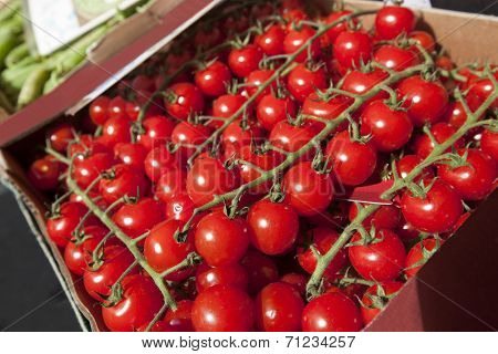 Fresh tomatoes on display at store