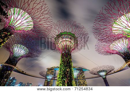 SINGAPORE-FEB 14: Night view of The Supertree Grove at Gardens by the Bay on Feb 14, 2014 in Singapore. Spanning 101 hectares, and five-minute walk from Bayfront MRT Station.