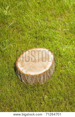 tree stump on the green grass