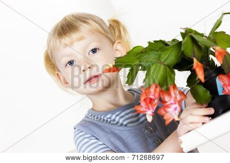 portrait of little with Christmas cactus