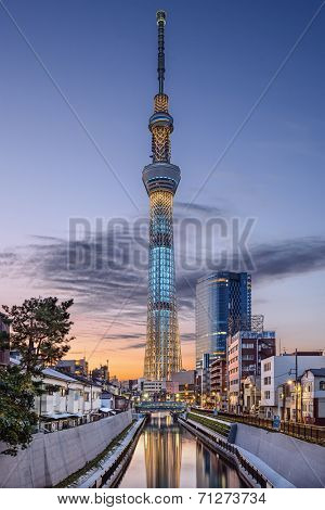 TOKYO, JAPAN - NOVEMBER 12, 2012: Tokyo Skytree rises above the skyline of Tokyo. The structure is the tallest in the country.