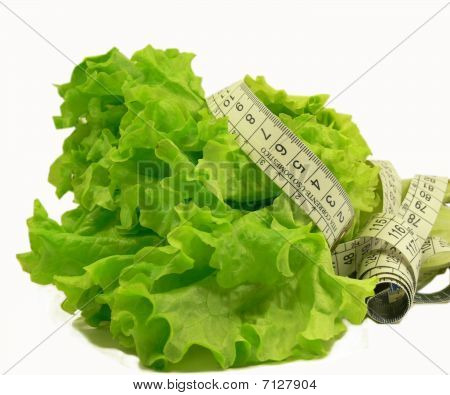 샐러드