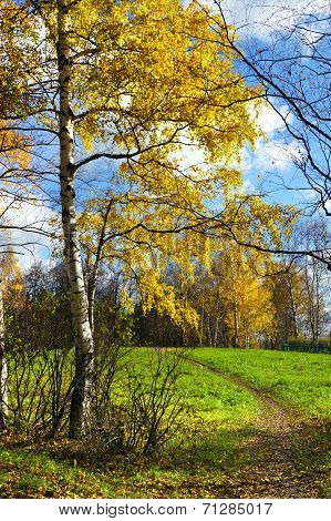 Autumnal Nature, Scenery