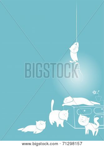playful white cats card